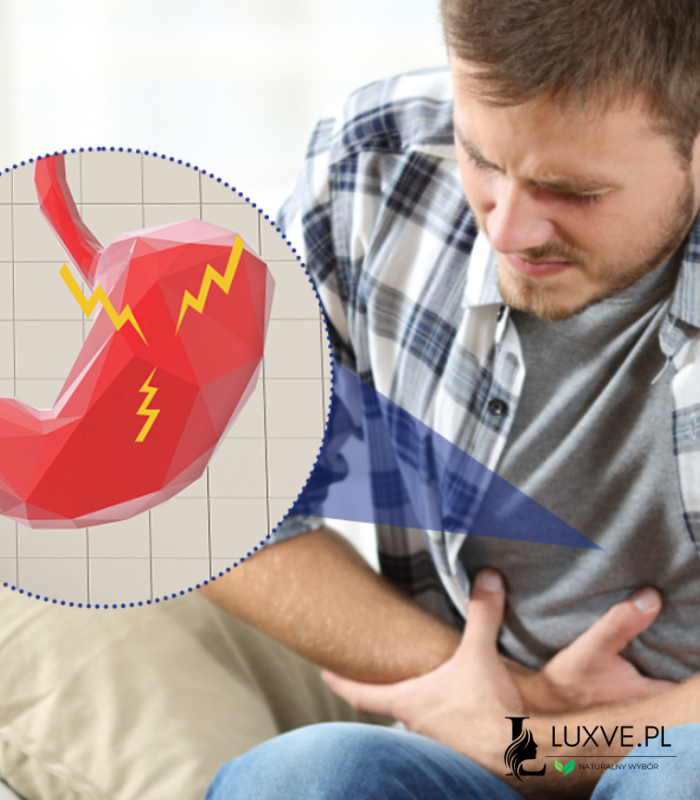 PLASTRY ZIOŁOWE NA TRAWIENIE BÓLE BRZUCHA WZDĘCIA 6 SZTUK TERAPIA LUXVE